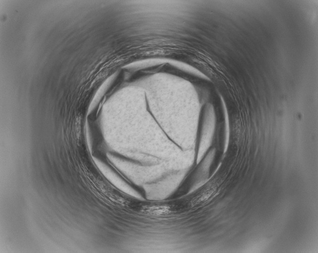 X0000053050554200508081131