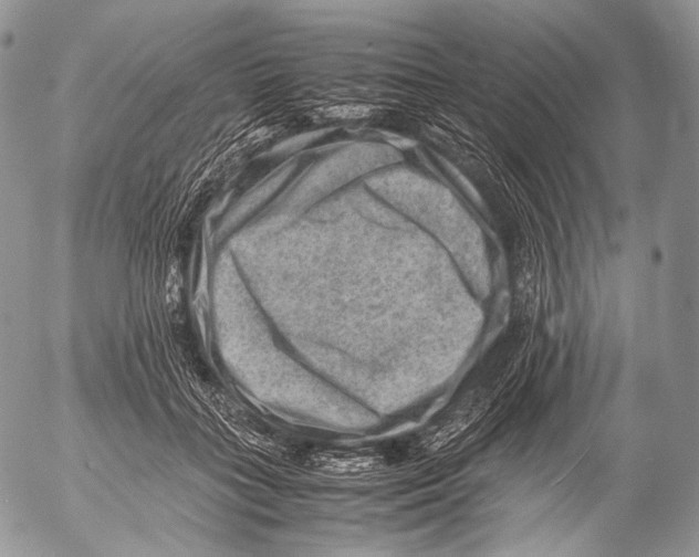 X0000053050555200508081131