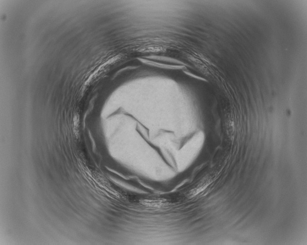 X0000053050556200508081131