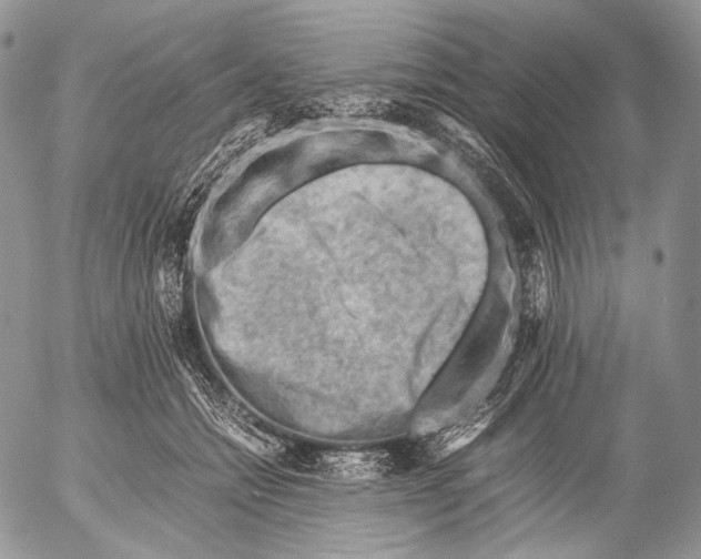 X0000053050558200508081131