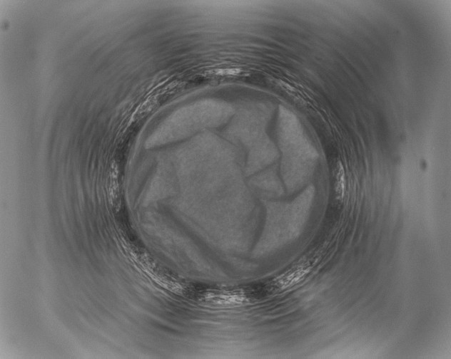 X0000053050559200508081131