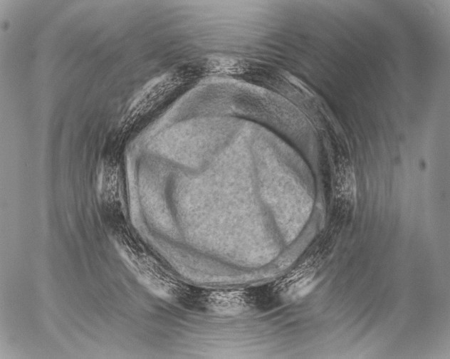 X0000053050560200508081131