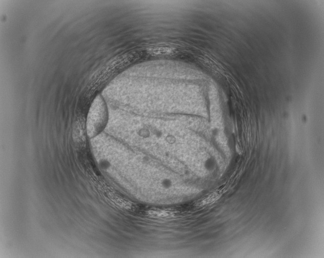 X0000053050561200508081131