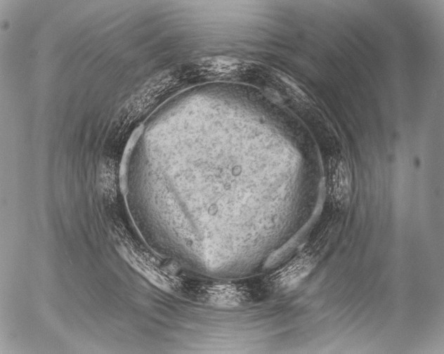 X0000053050562200508081131