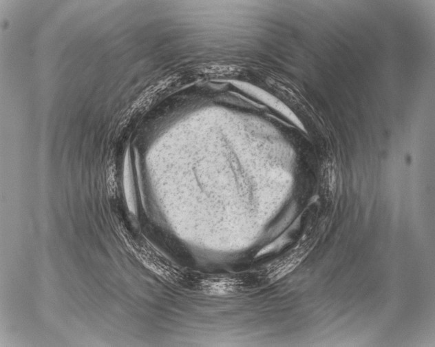 X0000053050564200508081131