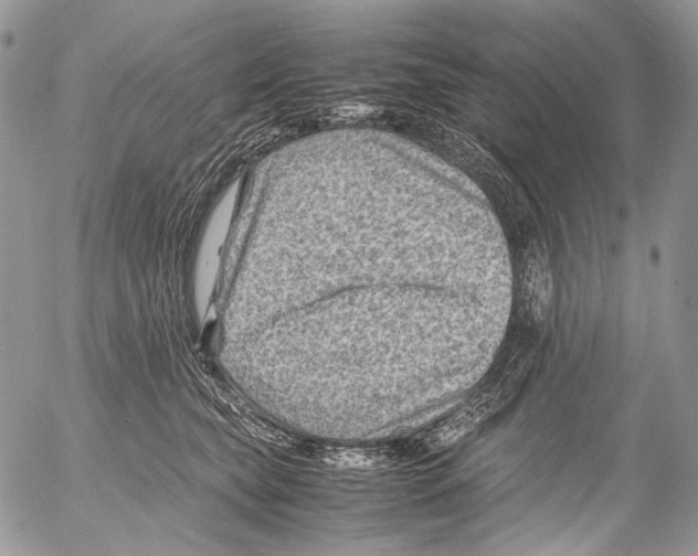 X0000053050565200508081131