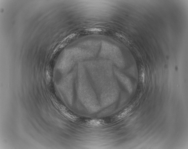 X0000053050566200508081131