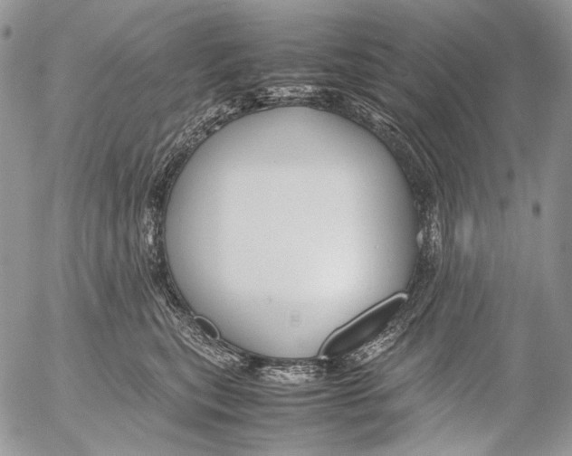 X0000053050567200508081131