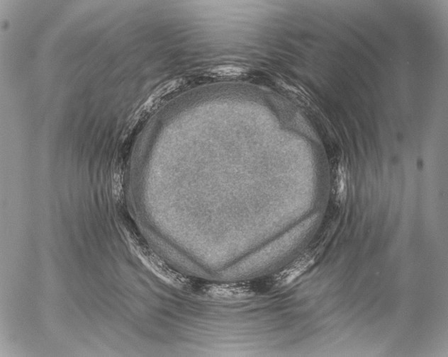 X0000053050568200508081131