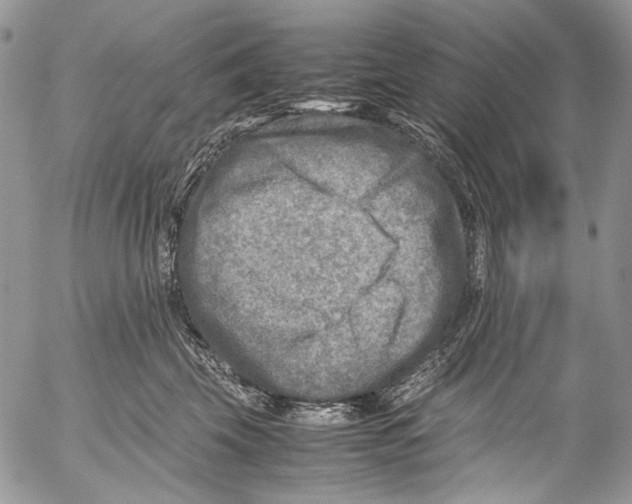 X0000053050569200508081131