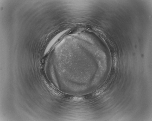 X0000053050570200508081131