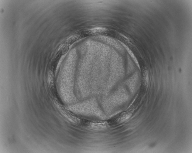 X0000053050571200508081131