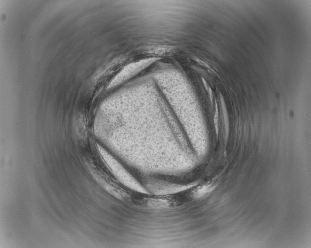 X0000053050572200508081131