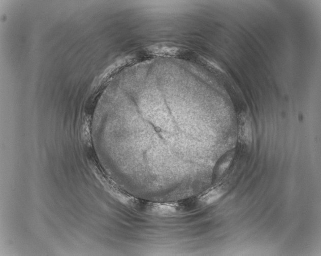 X0000053050573200508081131