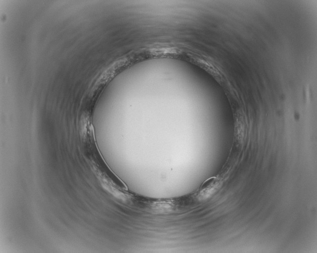 X0000053050574200508081131