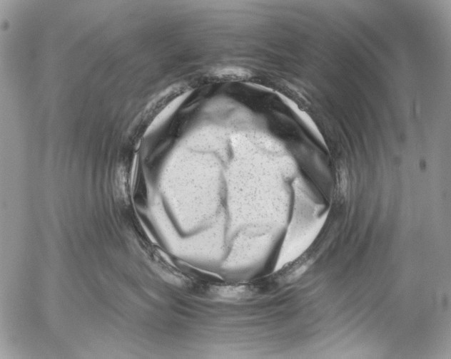 X0000053050575200508081132