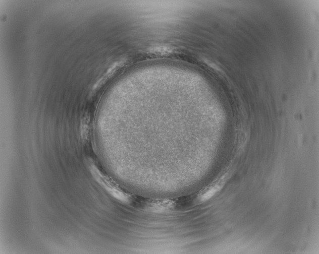 X0000053050576200508081132