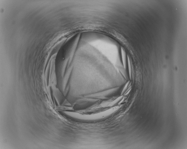 X0000053050577200508081131