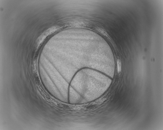 X0000053050579200508081131