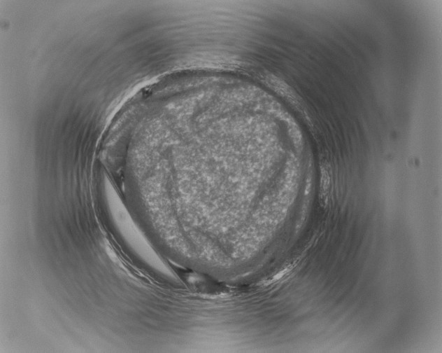 X0000053050580200508081131