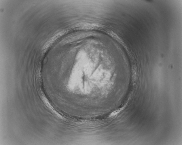 X0000053050581200508081131