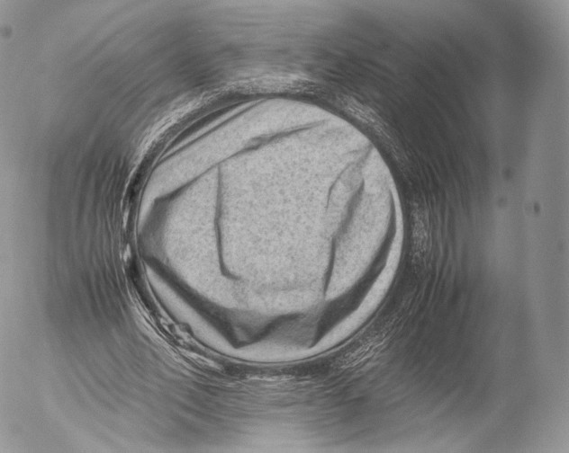 X0000053050582200508081131