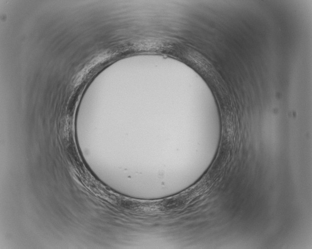 X0000053050583200508081131