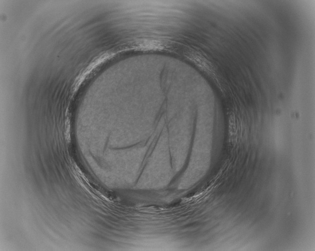 X0000053050584200508081131