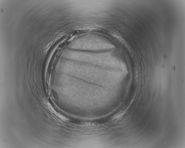 X0000053050585200508081131