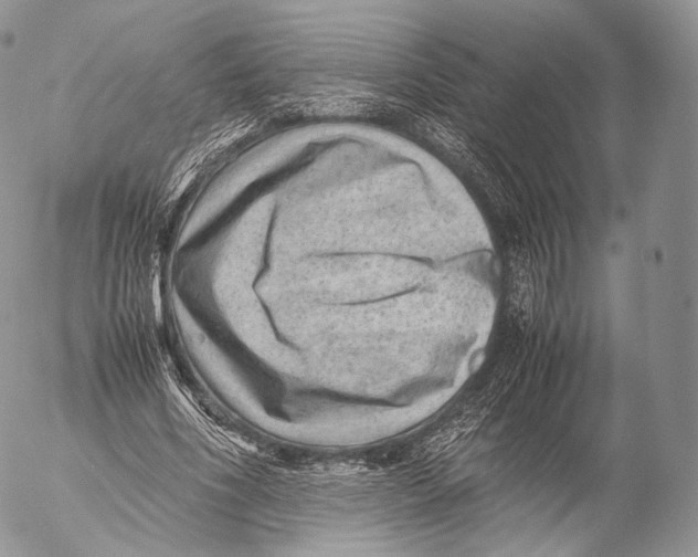 X0000053050586200508081131