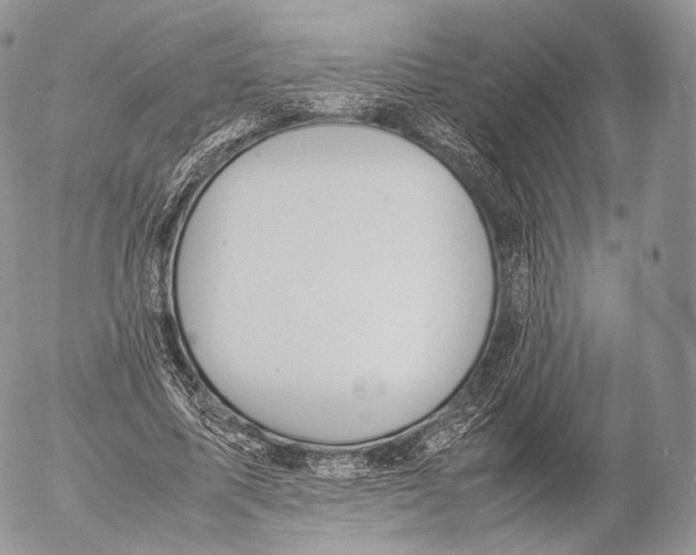 X0000053050587200508081131