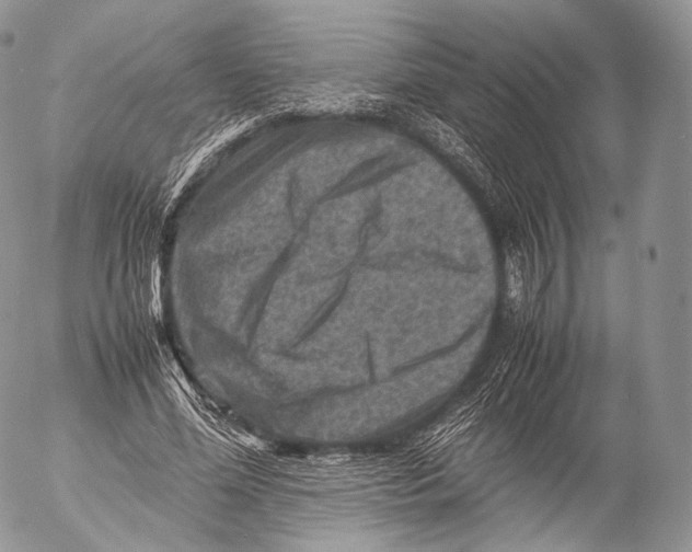 X0000053050588200508081131