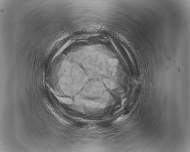 X0000053050589200508081131