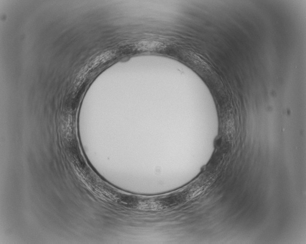 X0000053050591200508081131