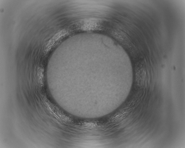 X0000053050592200508081130