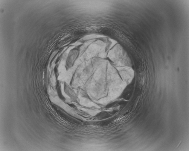 X0000053050593200508081130