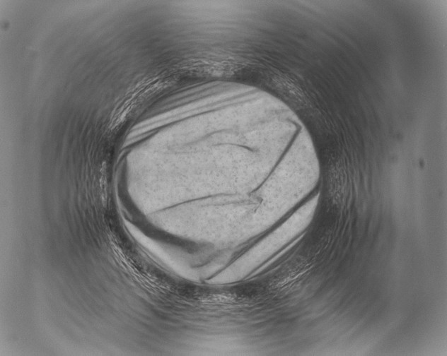 X0000053050594200508081130