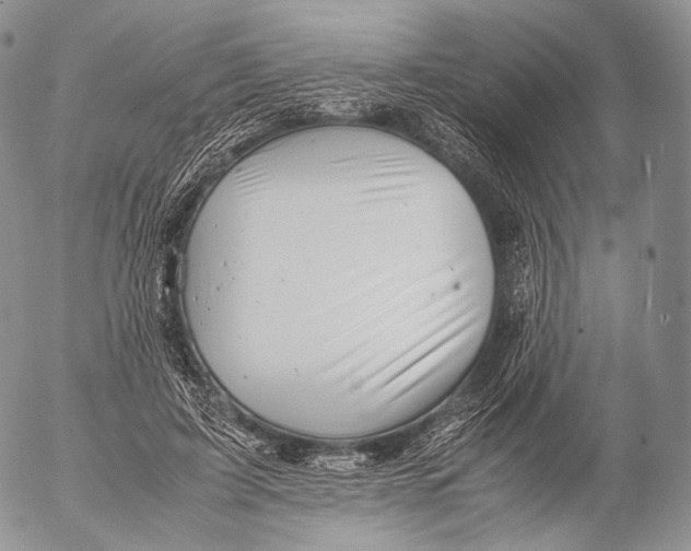 X0000053050595200508081130