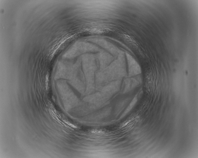 X0000053050596200508081130