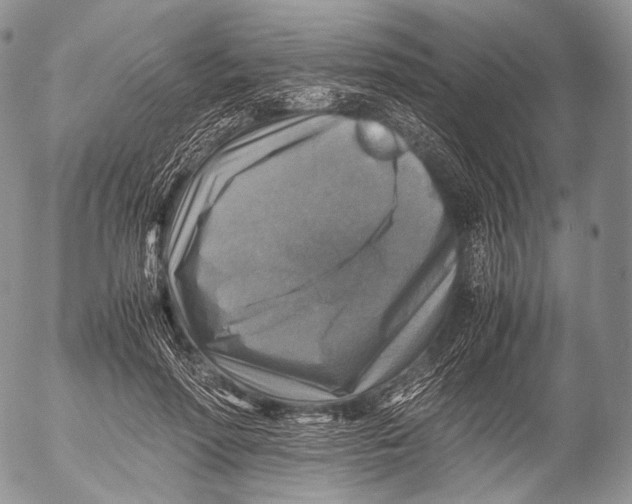 X0000053050598200508081130