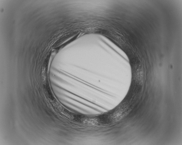 X0000053050599200508081130