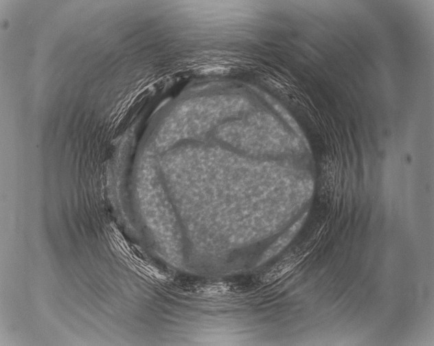 X0000053050600200508081130