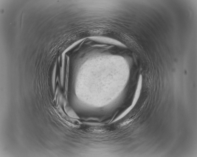 X0000053050601200508081130