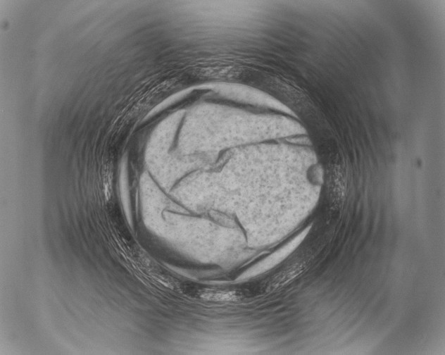 X0000053050602200508081130