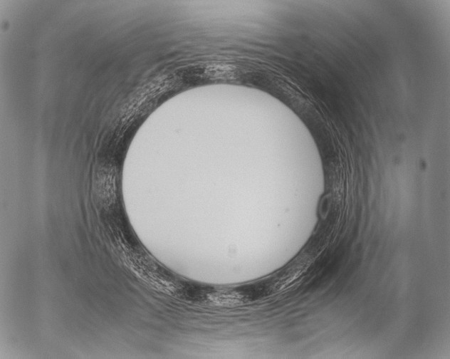 X0000053050603200508081130