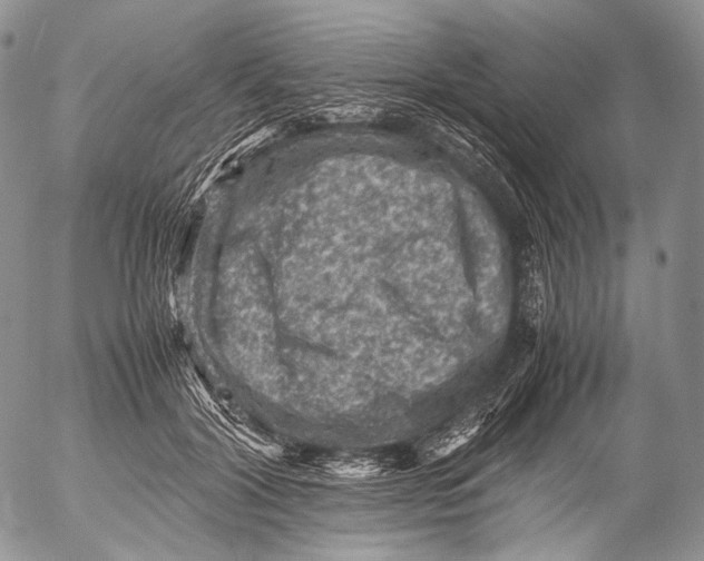 X0000053050604200508081130