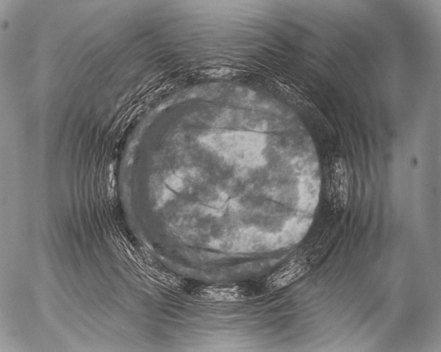 X0000053050606200508081130