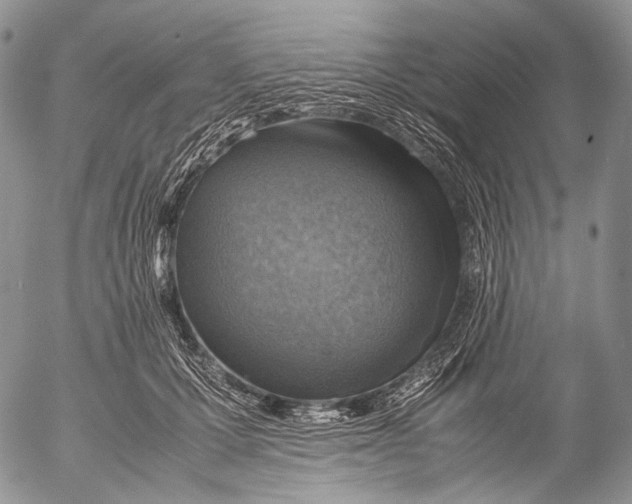 X0000053050607200508081130