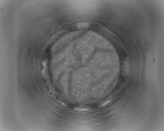 X0000053050608200508081130