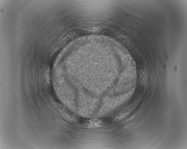 X0000053050612200508081130